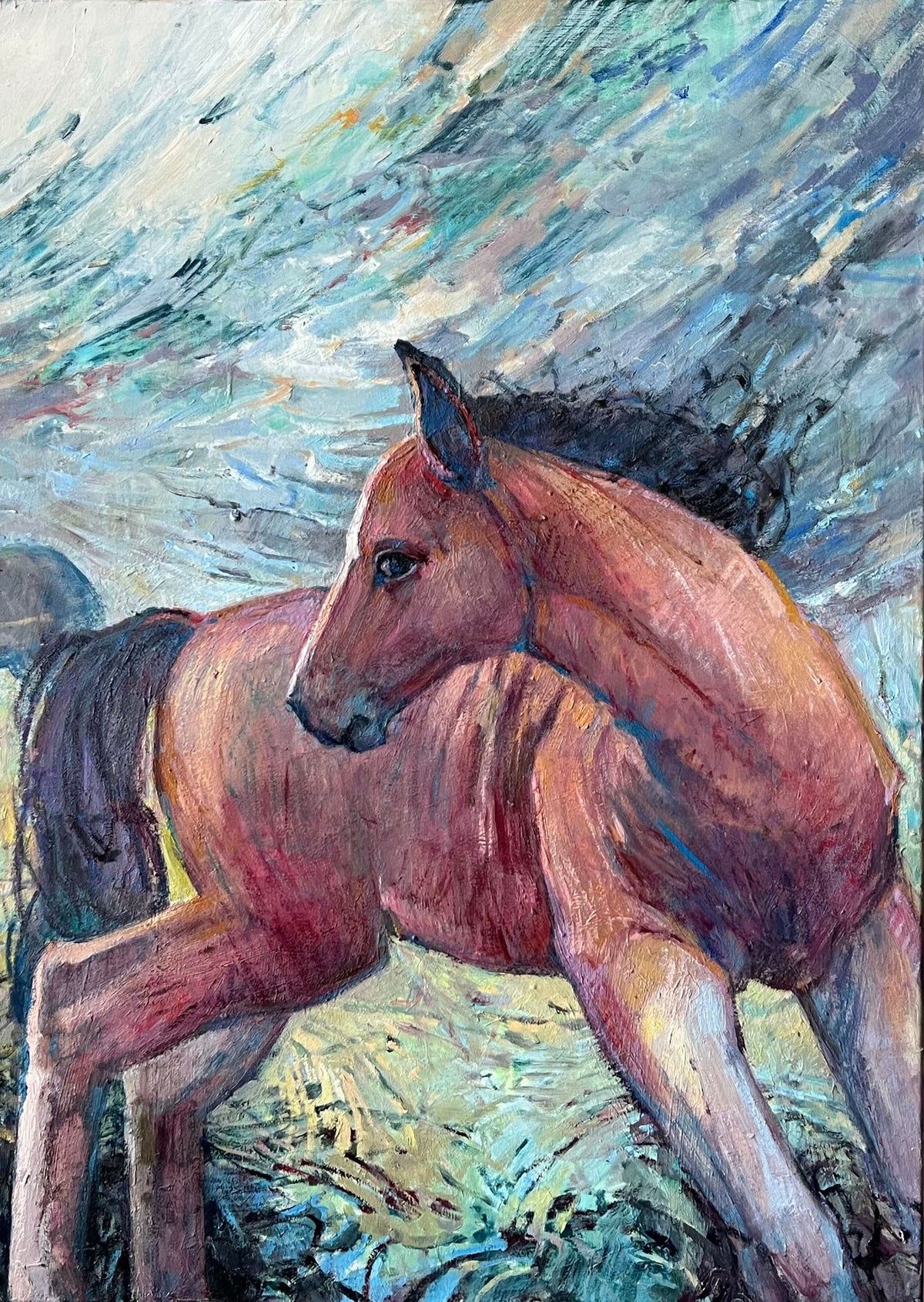 Horses <br> 50x70, 70x70, 50x70 cm